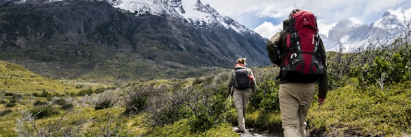 杏彩XCSport体育社区用户互动与讨论场景